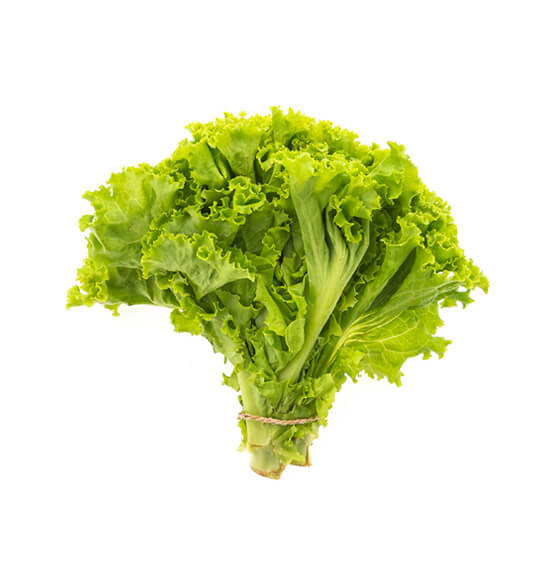 Nexora Foods